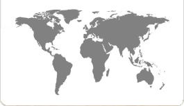 Global coverage, local service. Reach the world through 160.com.au SMS